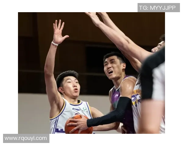 深圳与辽宁精彩对决回放录像全程回顾与分析